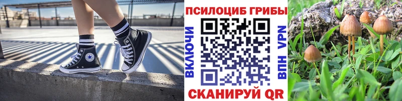 Псилоцибиновые грибы GOLDEN TEACHER  Аксай 